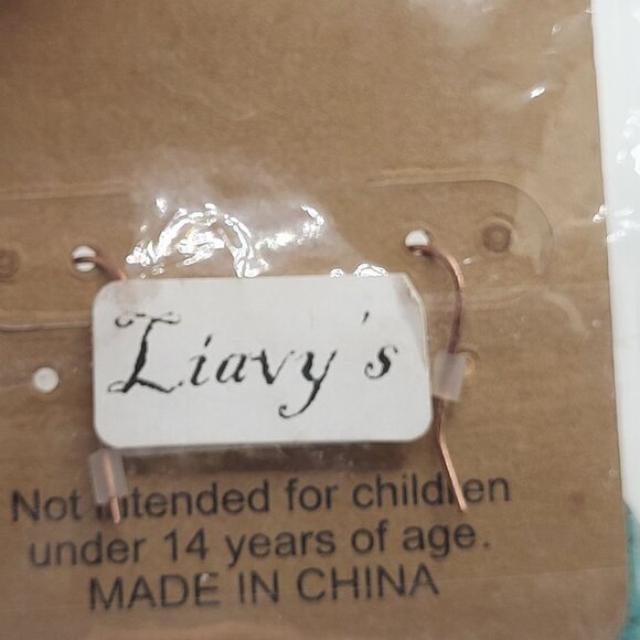 Southwestern Cactus on Blue Patina Brushed Oval Earring New in Package Lucky You - Picture 8 of 9